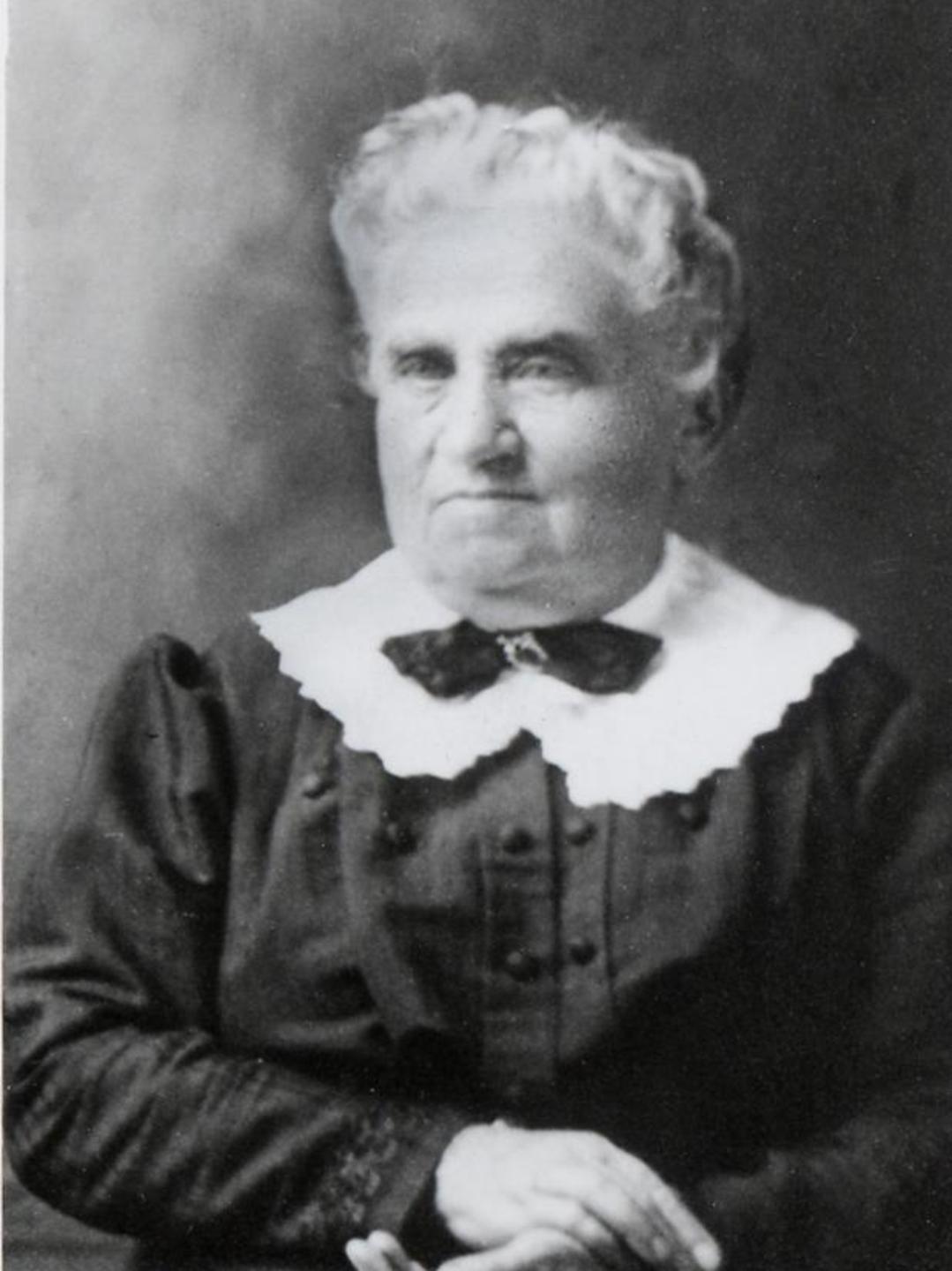 Mary Mittie Larsen (1846 - 1913) Profile
